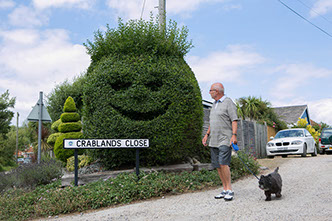 Happy hedge