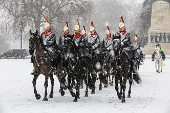 The Queen's Life Guard in the snow at Horse Guards Parade